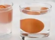 悬浮的鸡蛋：一场密度与浮力的趣味实验