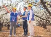 5G重构文旅生态：从预订到体验的全链条沉浸式变革