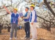 5G重构文旅生态：从预订到体验的全链条沉浸式变革